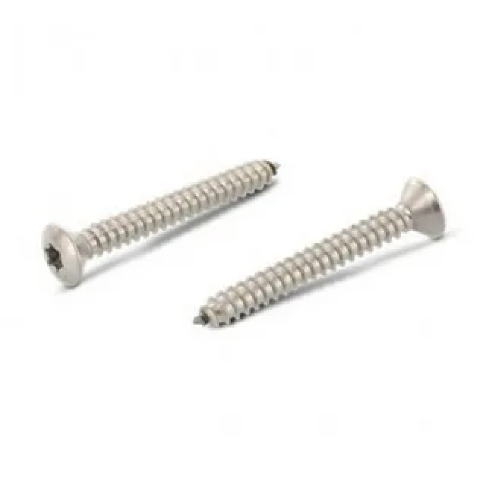 DIN7983 EN ISO 14587 Mercimek Torx Başlı Saç Vidası