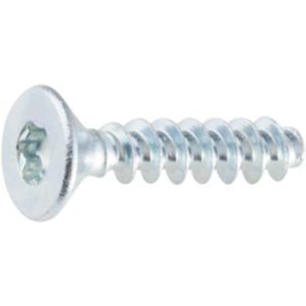 Plastik Diş Metal Vida Havşa Başlı, Torks Anahtar,